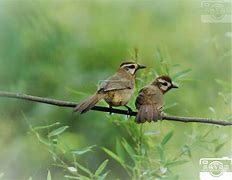 包含鵄5?j3顥|n鈵?$颊?-翳黽忋叧("繫%r馲歪聜騭鬫)R滏d`m	馐`N冝╲绉追夺c呔{?丱bE]*?粊豼AmT;鑿Ey斞Fd的词条-lpl联盟平台